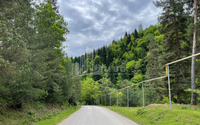 იყიდება სააგარაკე მიწის ნაკვეთი, ონი