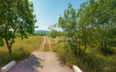 For Sale Land Trani Tianeti Mtskheta   Mtianeti