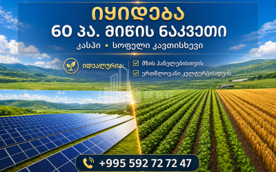 Продается Пахотные Земля В Кавтисхеви, Каспси