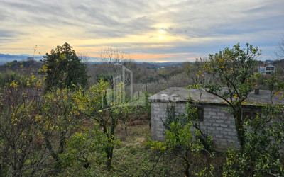 იყიდება ძველი აშენებული სახლი - აგარაკი ზემო ნატანებში, ოზურგეთი