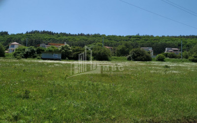 იყიდება მიწის ნაკვეთი, წავკისი, მთაწმინდის რაიონი, თბილისი
