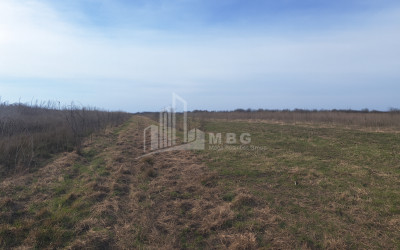 For Sale Land Kvemo Shukhuti Lanchkhuti Municipalities of Guria