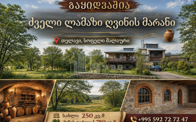 იყიდება ძველი აშენებული სახლი - აგარაკი შალაურში, თელავი