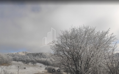 იყიდება სახნავ - სათესი მიწის ნაკვეთი, ზემო გოსტიბე