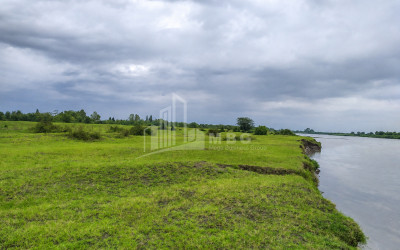 For Sale Orchards Land In Abasha