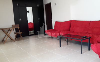 For Sale Flat, in Bakuriani