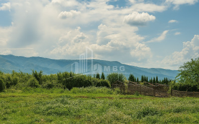 იყიდება მიწის ნაკვეთი საქობო სიღნაღი კახეთი