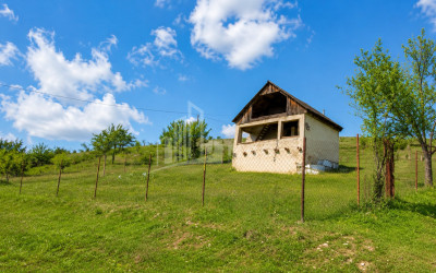 For Sale Country Land In Iltosa village, Dusheti