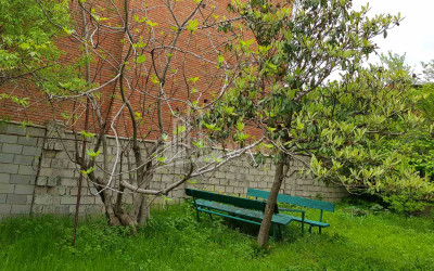 Продается Дом - Вилла, в Мцхета