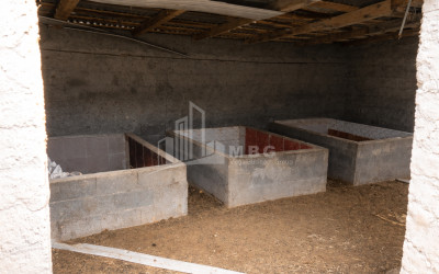 Продается Озеро - Рыболовное хозяйство Земля В Деревния Гачиани, Гардабани