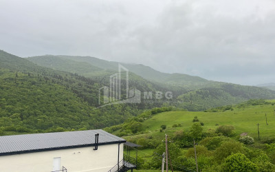 For Sale Commercial Manglisi Tetritskaro Kvemo Kartli