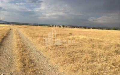 For Sale Orchards Land, in Gardabani