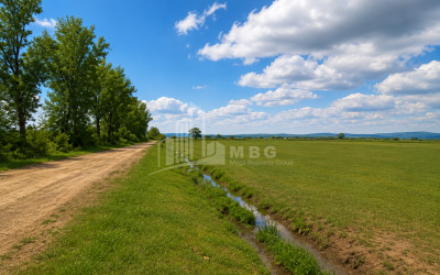 For Sale Vineyard - Chateau Land In Manavi, Sagarejo