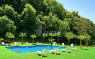For Sale Commercial Kvareli Kakheti