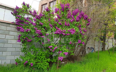 Продается Дом - Вилла, в Мцхета