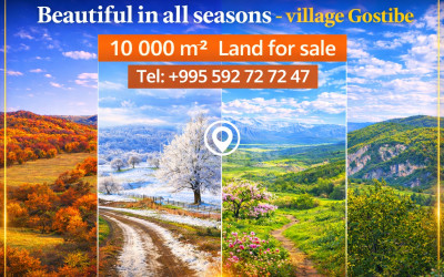 იყიდება ბინა, ფერსათი