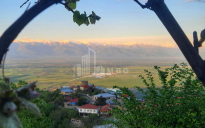 იყიდება კომერციული ფართი სიღნაღი კახეთი