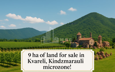 For Sale Land Kvareli Kakheti