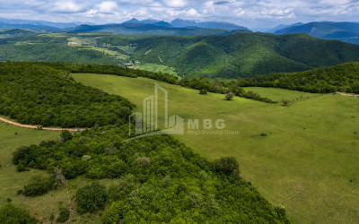Продается Дачные Земля В Базалети, Душети