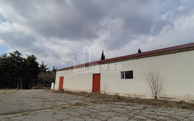 For Sale Commercial Kumisi Gardabani Kvemo Kartli