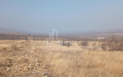 For Sale Land Samtatskaro Dedoplistskaro Kakheti