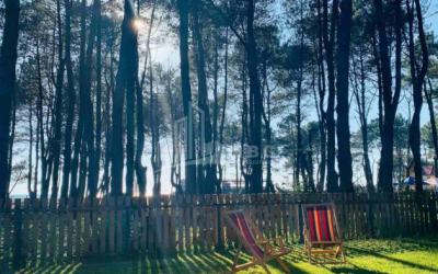 For Sale House - Villa, in Daba Shekvetili