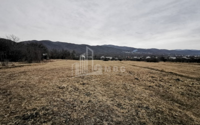 For Sale Country Land, in Aragvispiri