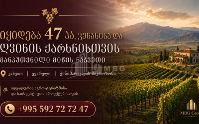 Продается Виноградник - Замковые Земля В Кварели