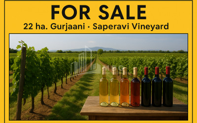 For-Sale-Land-Zegaani-Gurjaani-Kakheti
