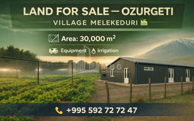 For Sale Land, Municipalities of Guria