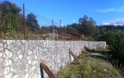 For Sale Land, Zeda Bakhvi, Ozurgeti Municipality, Municipalities of Guria