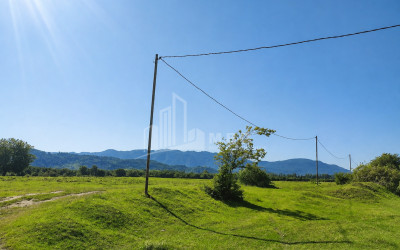 For Sale Orchards Land In Abasha