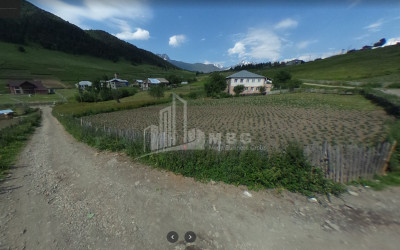 იყიდება სააგარაკე მიწის ნაკვეთი, წვირმი