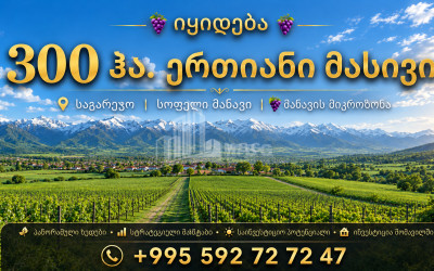 For Sale Vineyard - Chateau Land In Manavi, Sagarejo