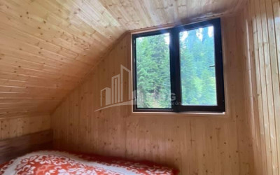 Daily Rent House - Villa, in Bakhmaro