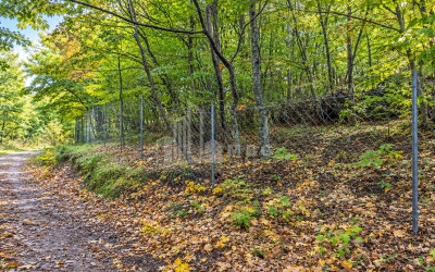 For Sale Country Land In Birtvisi Gorge, Tetritskaro