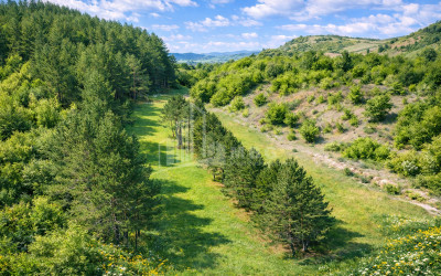 For Sale Land Daba Surami Khashuri Shida Kartli