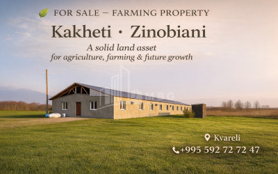 იყიდება ბინა, ბეთლემის კლდისუბანი