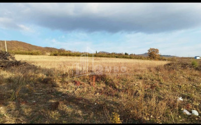 For Sale House   Villa, in Tsinamdzgvriantkari