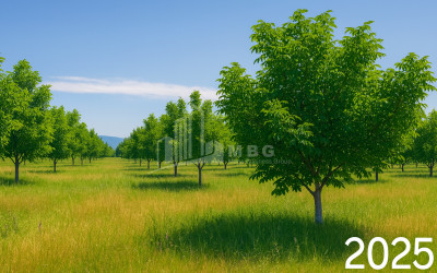 For Sale Land Does Kaspi Shida Kartli