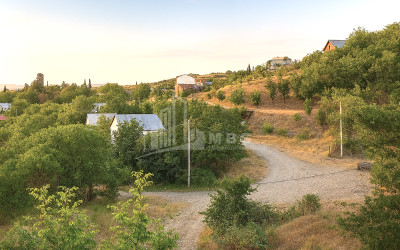 For Sale Land Iltosa village Dusheti Mtskheta   Mtianeti