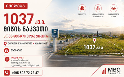 იყიდება კომერციული - არასასოფლო მიწის ნაკვეთი თელავში
