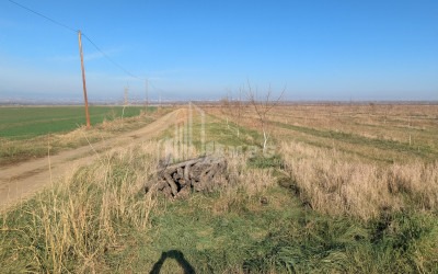 იყიდება მიწის ნაკვეთი სოფელი შაუმიანი მარნეული ქვემო ქართლი