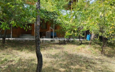 For Sale House Villa Kvishkheti Khashuri Shida Kartli