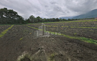 For Sale Land Shilda Kvareli Kakheti