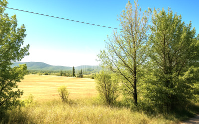 For Sale Land Trani Tianeti Mtskheta   Mtianeti