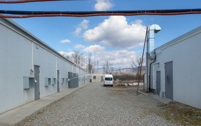 For Sale Commercial Okami Kaspi Shida Kartli