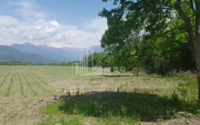 For Sale Land, Kvareli Municipality, Municipalities of Kakheti