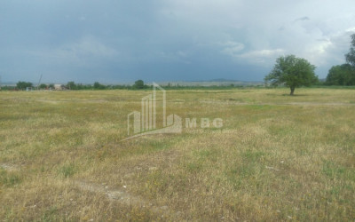 იყიდება სააგარაკე მიწის ნაკვეთი, გამარჯვება