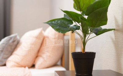 For Sale Trade Commercial, in Vera